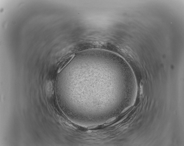 X0000088601347200706011152