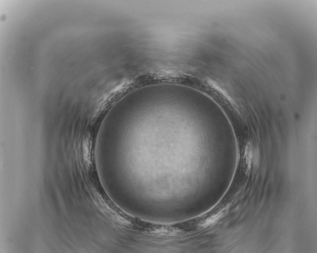 X0000088601348200706011152