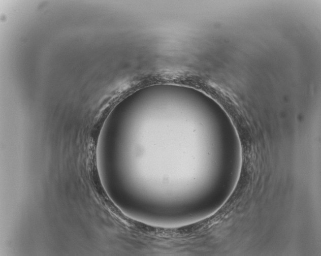 X0000088601349200706011152