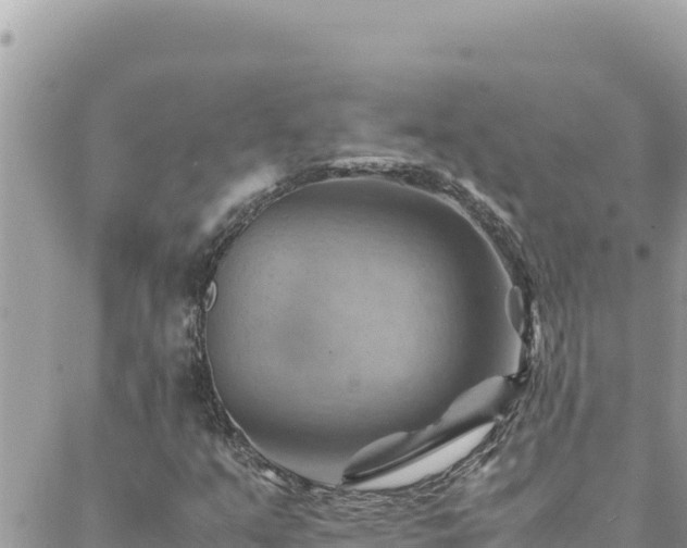 X0000088601351200706011152