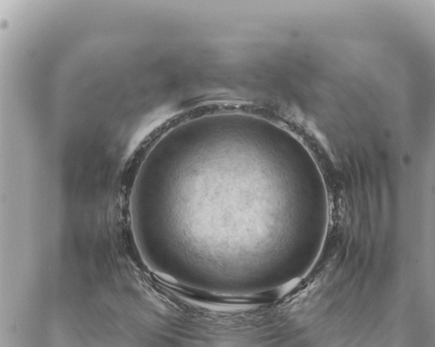 X0000088601352200706011152