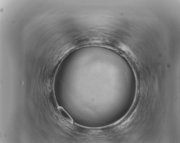 X0000088601353200706011152