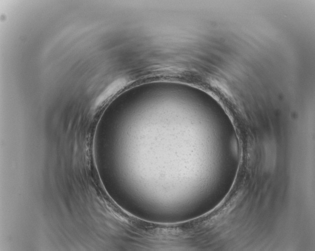 X0000088601354200706011152