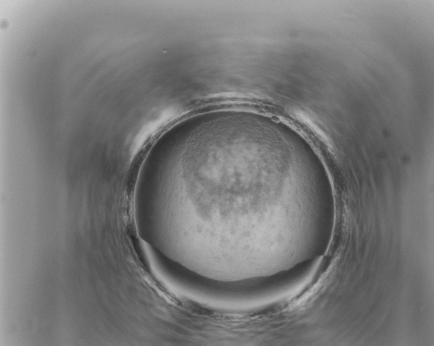 X0000088601357200706011152