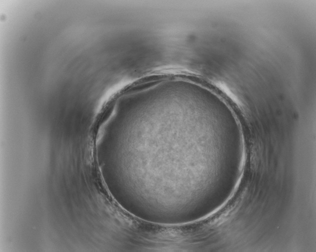 X0000088601358200706011152