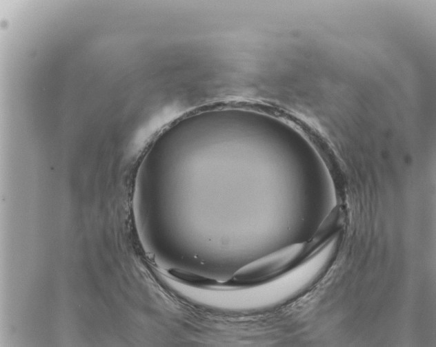 X0000088601359200706011152