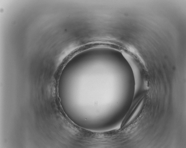 X0000088601360200706011152