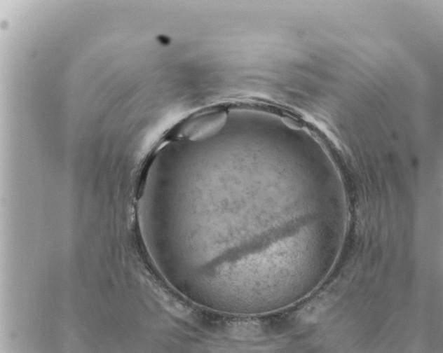 X0000088601363200706011152