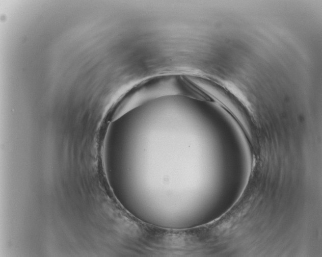 X0000088601364200706011152