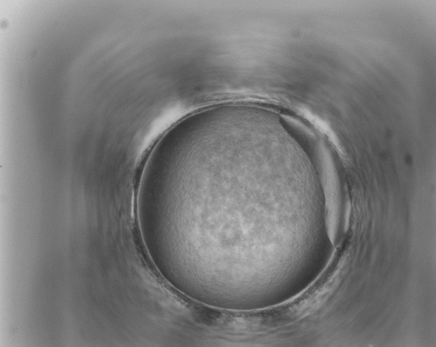 X0000088601365200706011152