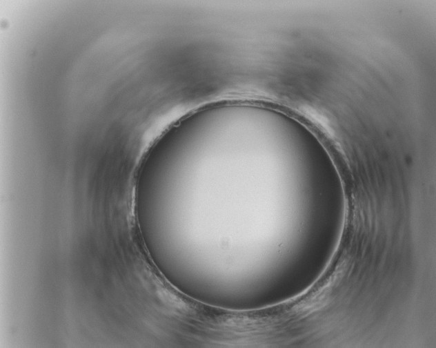 X0000088601366200706011152