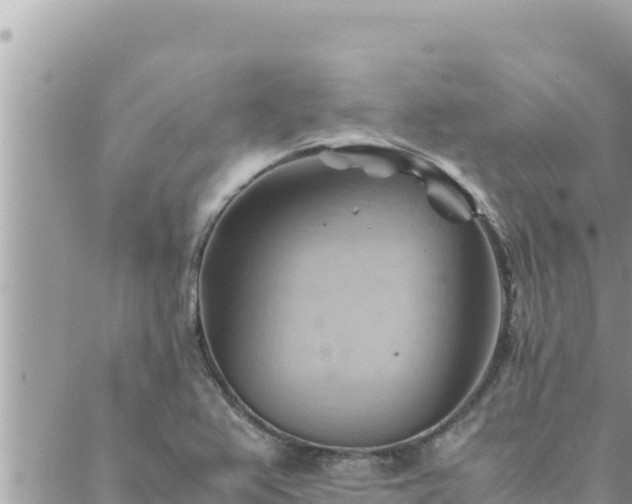 X0000088601367200706011152