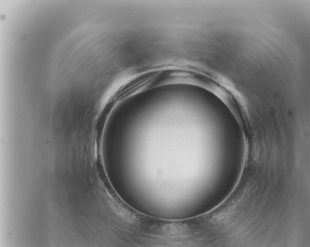 X0000088601368200706011152