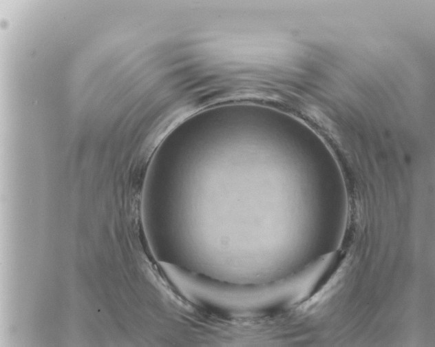 X0000088601369200706011152