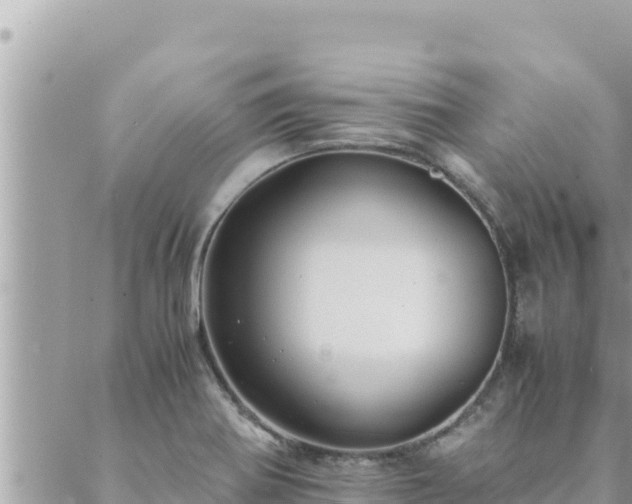 X0000088601370200706011152