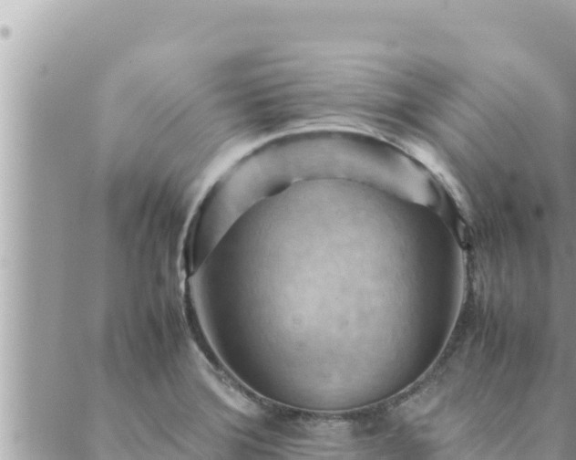 X0000088601372200706011152