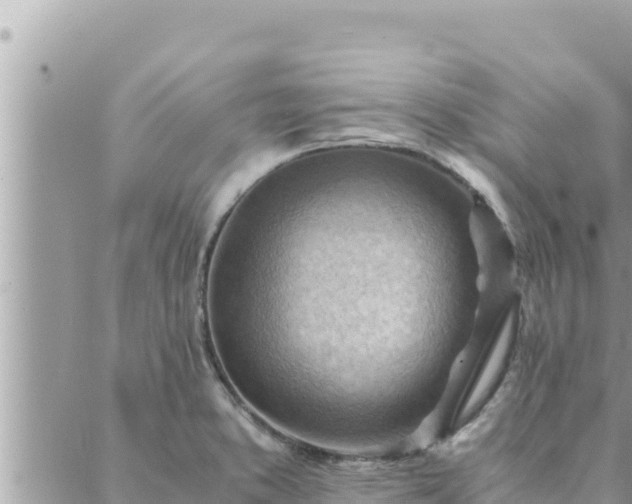 X0000088601373200706011152