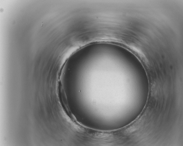 X0000088601374200706011152