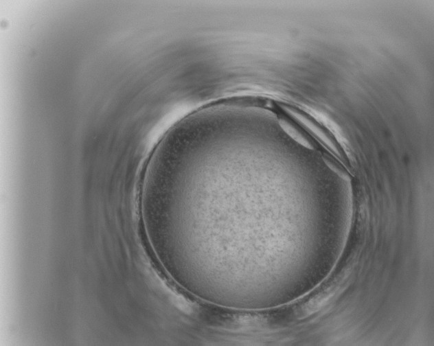 X0000088601375200706011152