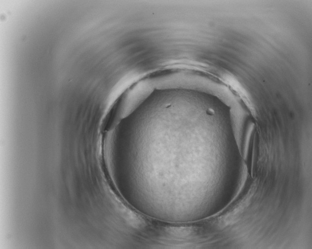 X0000088601376200706011152