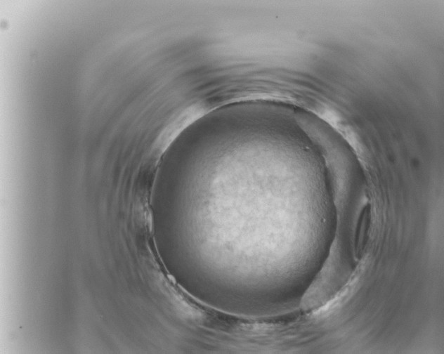 X0000088601377200706011152