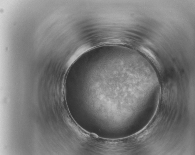 X0000088601378200706011152