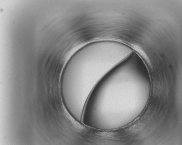 X0000088601380200706011152