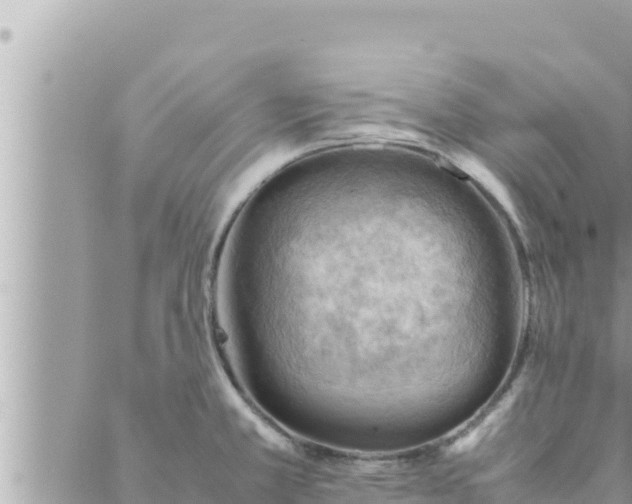 X0000088601381200706011152