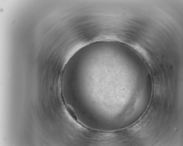 X0000088601382200706011152