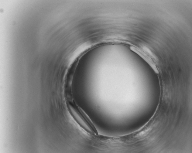 X0000088601384200706011152