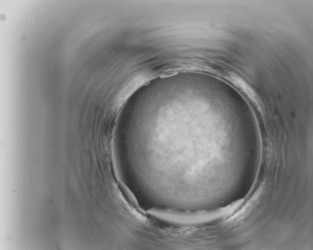 X0000088601385200706011152