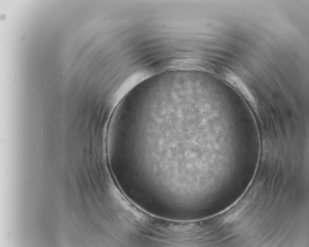 X0000088601386200706011152