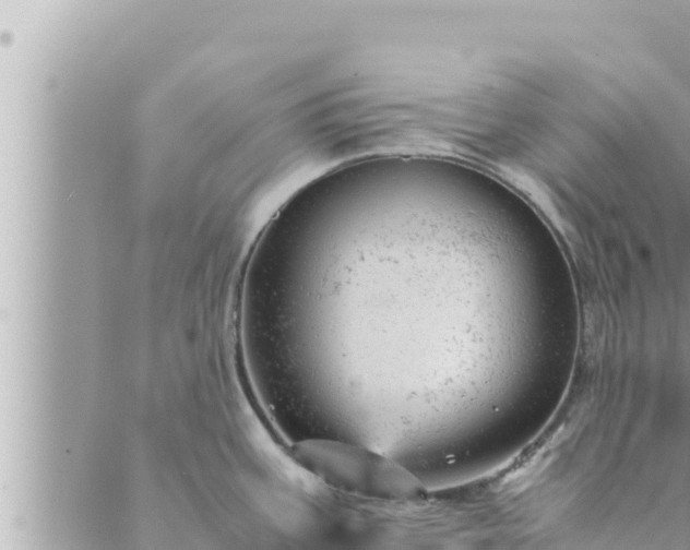 X0000088601387200706011152