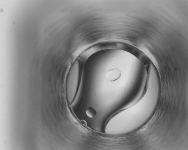 X0000088601388200706011152