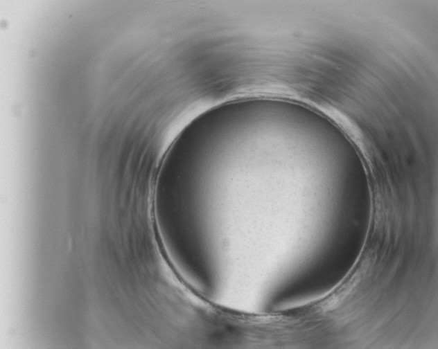 X0000088601390200706011152