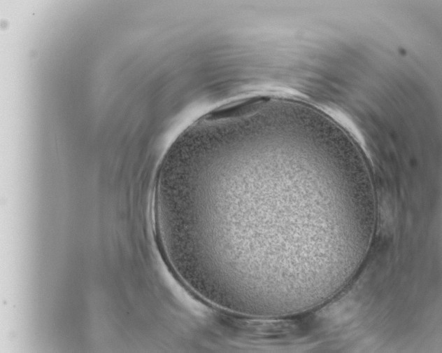 X0000088601391200706011152