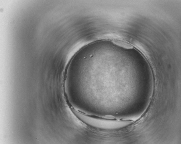 X0000088601392200706011152