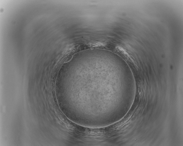 X0000088601393200706011151