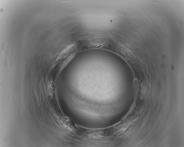 X0000088601394200706011151