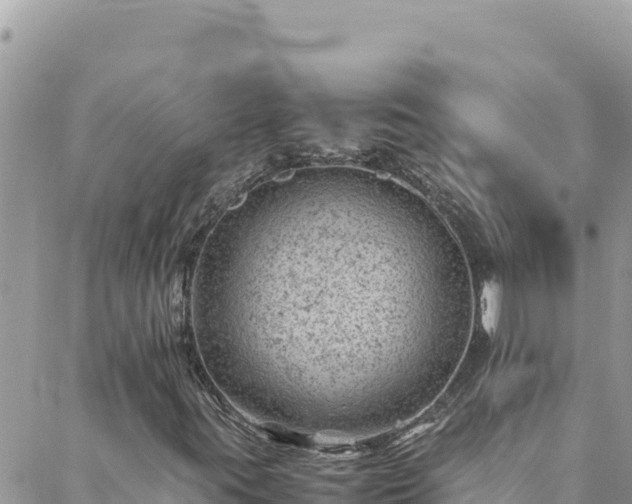 X0000088601395200706011151