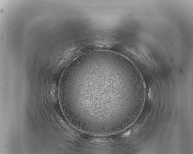 X0000088601396200706011151