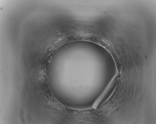 X0000088601397200706011151