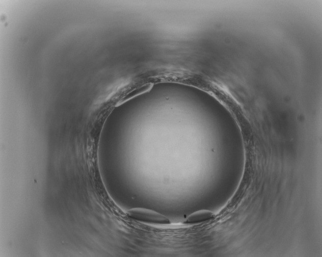 X0000088601399200706011151