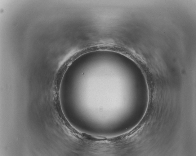 X0000088601400200706011151