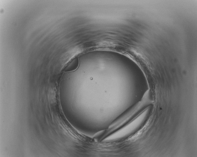 X0000088601401200706011151