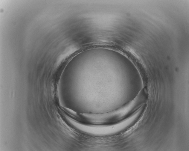 X0000088601402200706011151