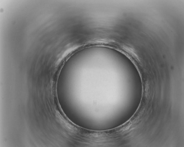 X0000088601404200706011151