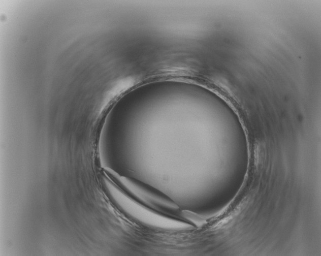 X0000088601405200706011151