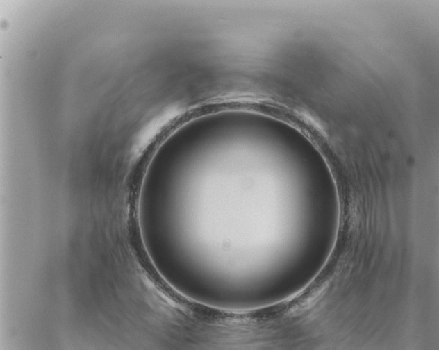 X0000088601406200706011151