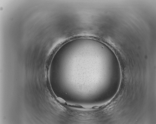 X0000088601408200706011151